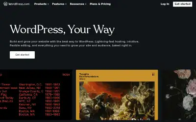 wordpress.com in 2024
