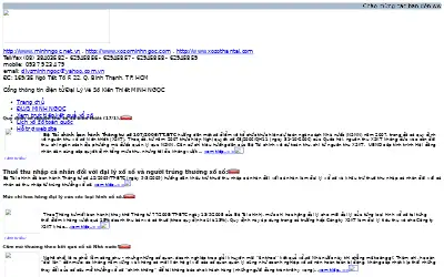 minhngoc.net.vn in 2009