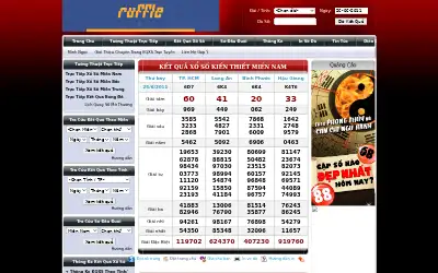 minhngoc.net.vn in 2011