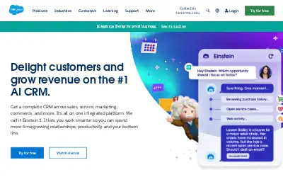 salesforce.com in 2024