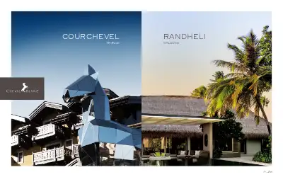 chevalblanc.com in 2013