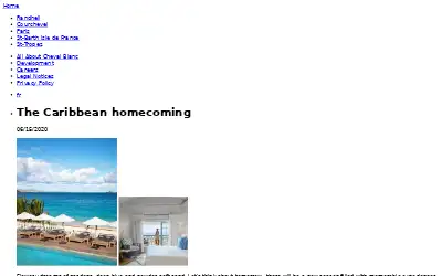 chevalblanc.com in 2020