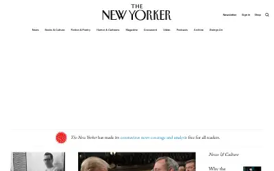 newyorker.com in 2020