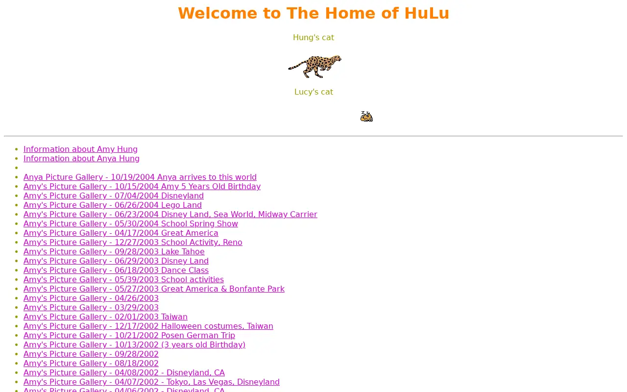 hulu.com in 2007