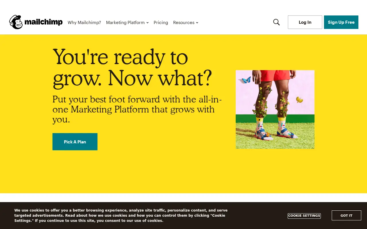mailchimp.com in 2019