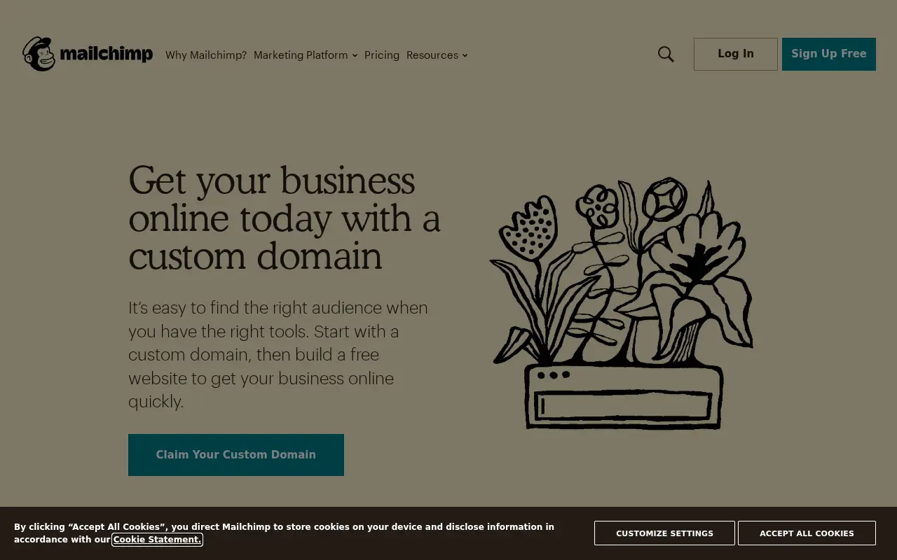 mailchimp.com on June 30, 2020