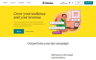 mailchimp.com in 2022