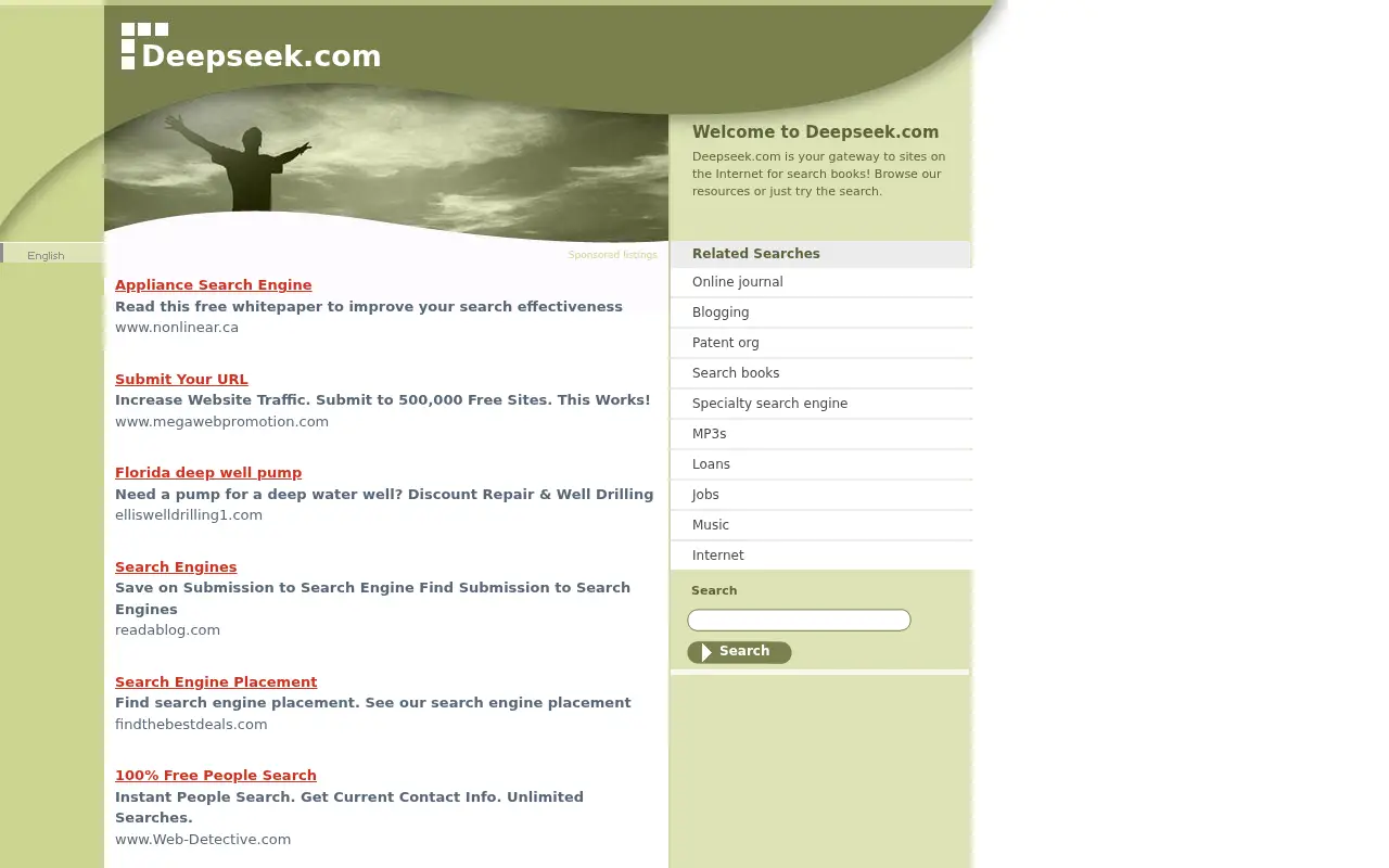 deepseek.com in 2008