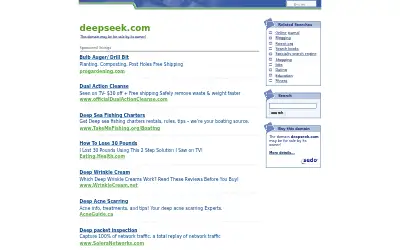 deepseek.com in 2009