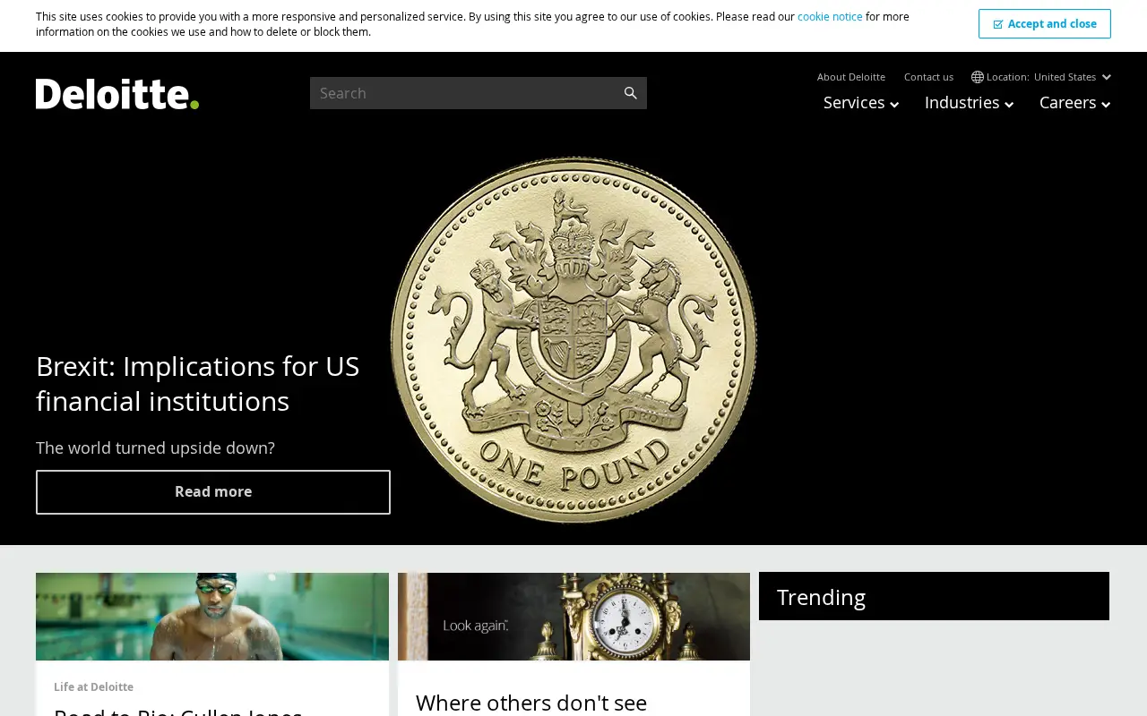 deloitte.com in 2016