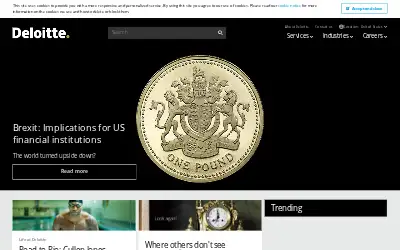 deloitte.com in 2016