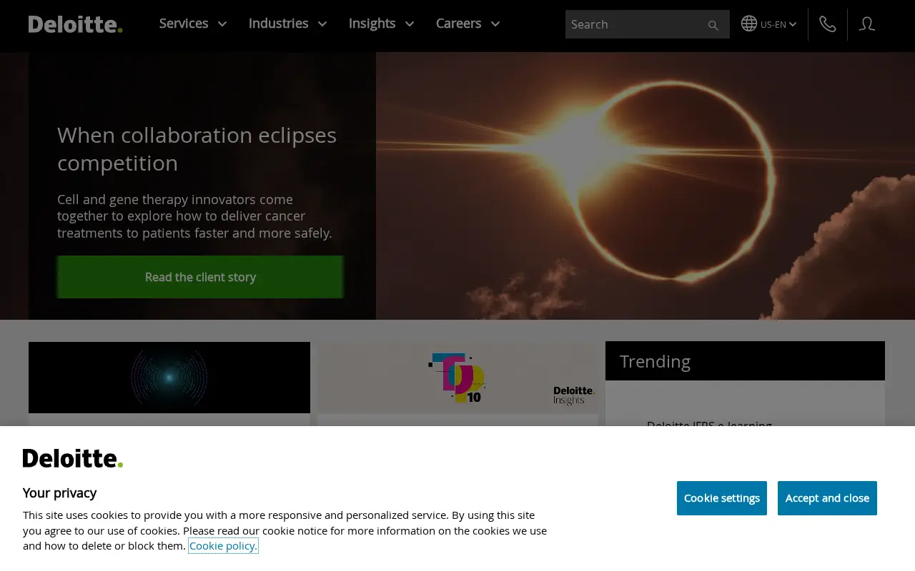 deloitte.com in 2024