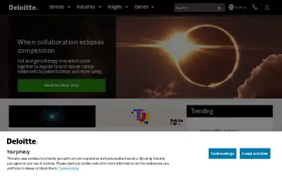 deloitte.com in 2024
