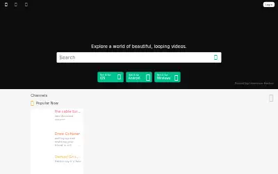 vine.co in 2016