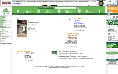 leroymerlin.fr in 2004