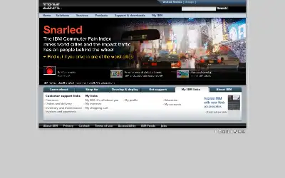 ibm.com in 2010