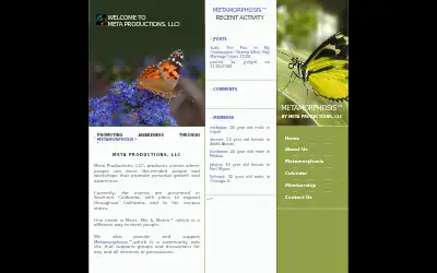 meta.com in 2011