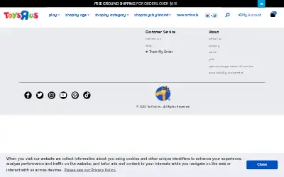 toysrus.com in 2023