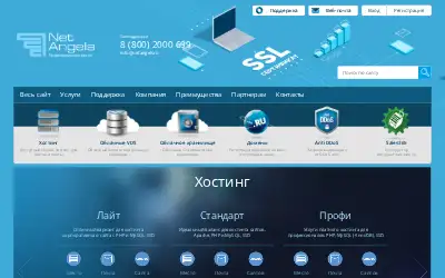 netangels.ru in 2016