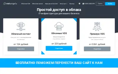 netangels.ru in 2019