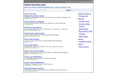 name-services.com in 2004