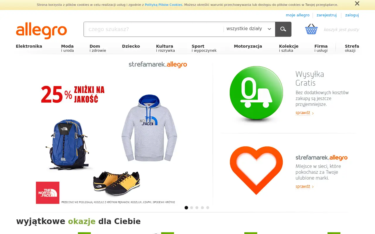 allegro.pl in 2013