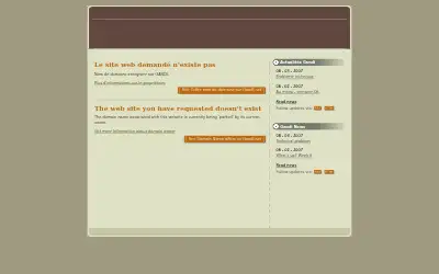tesla.com in 2007