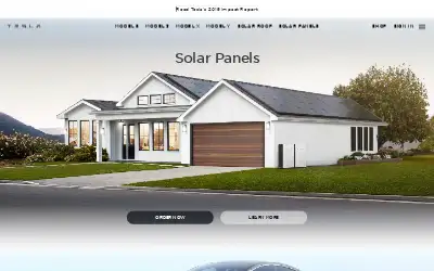tesla.com in 2020