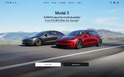 tesla.com in 2024