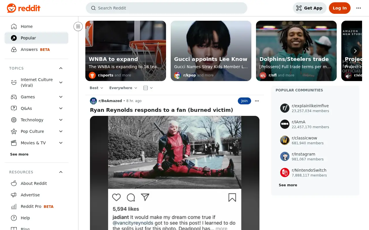reddit.com in 2025