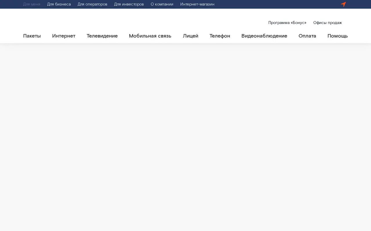 rt.ru in 2019