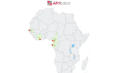 afribaba.com in 2016