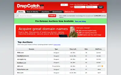 dropcatch.com in 2019