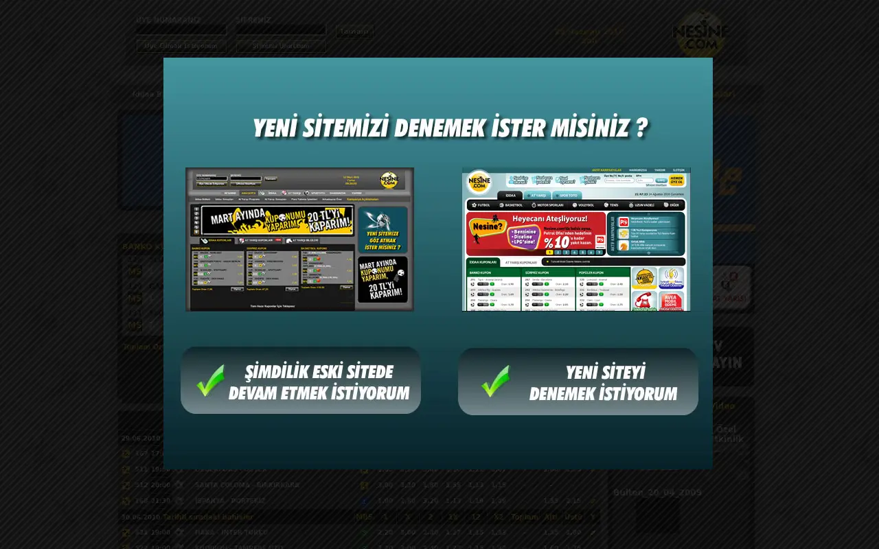 nesine.com in 2010