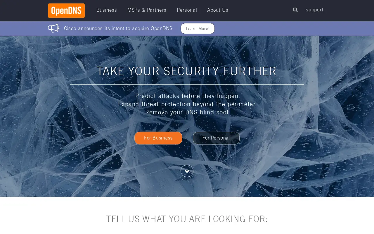 opendns.com on June 30, 2015