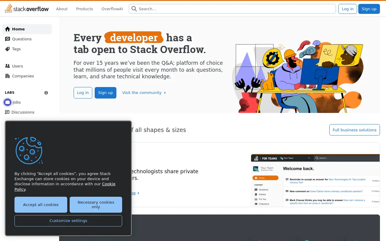 stackoverflow.com in 2024