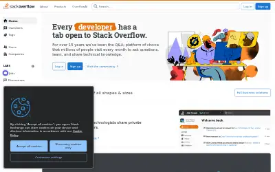 stackoverflow.com in 2024