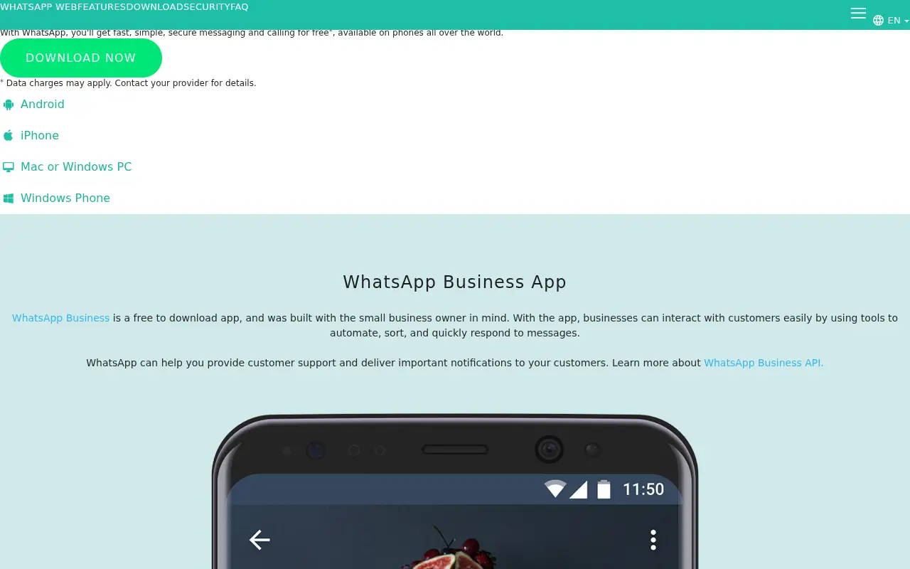 whatsapp.net in 2019