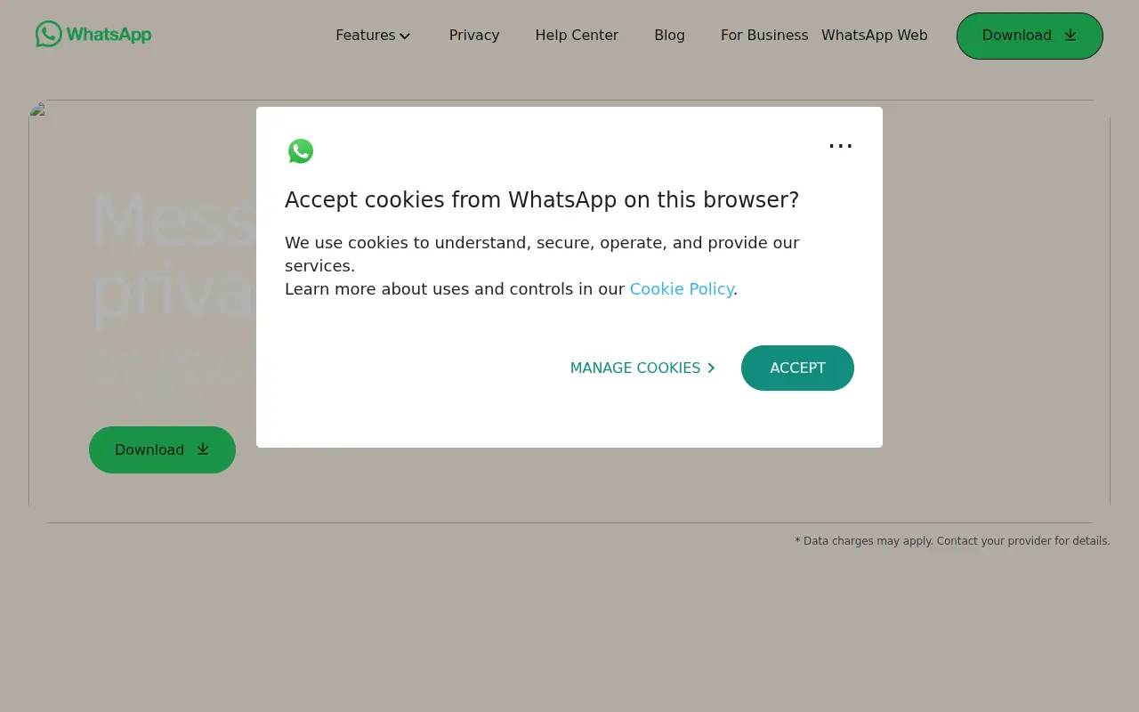 whatsapp.net in 2023