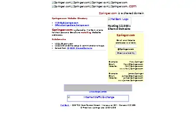 springer.com in 1999