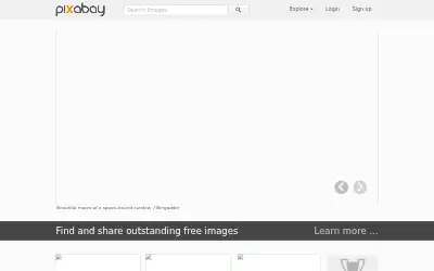 pixabay.com in 2013