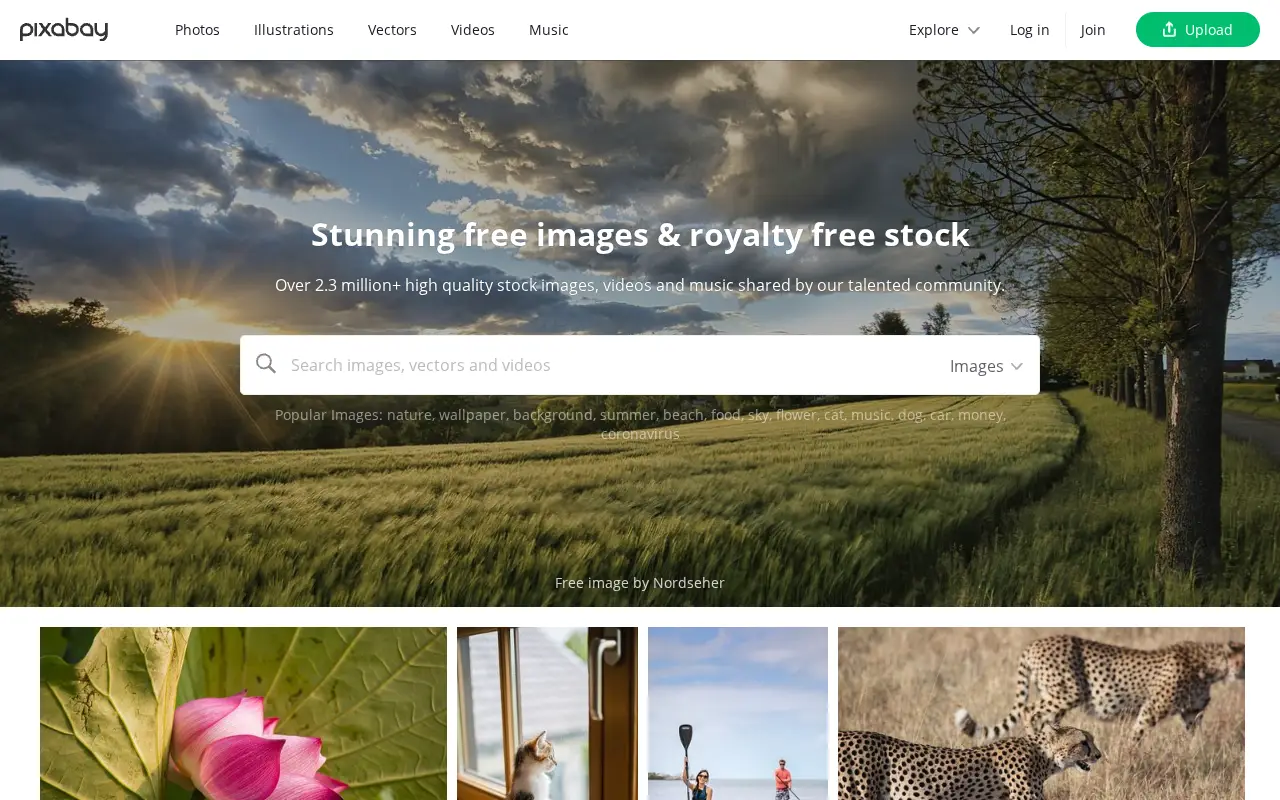 pixabay.com in 2021