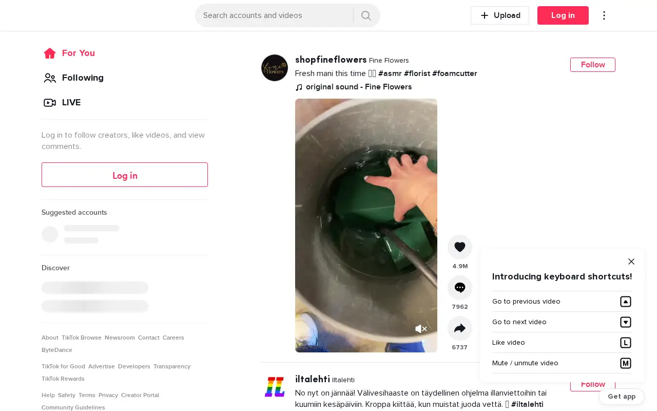 tiktok.com in 2022