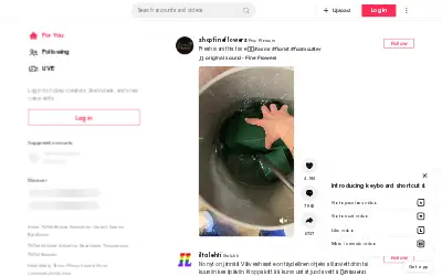 tiktok.com in 2022