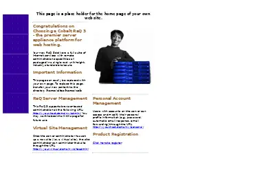 wisehosting.com in 2004