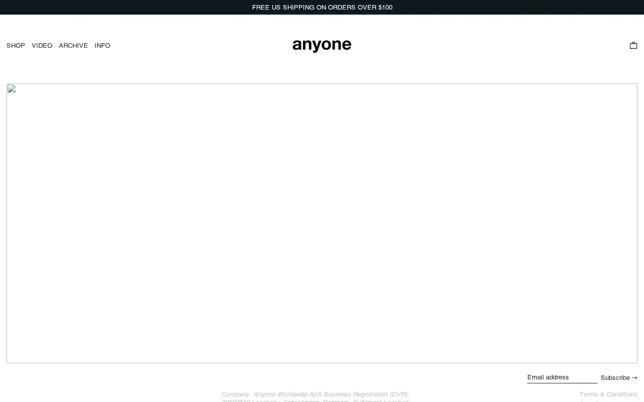 anyoneworldwide.com in 2024