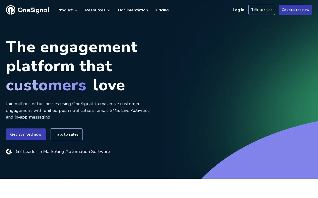onesignal.com in 2025