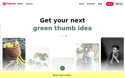 pinterest.com in 2024
