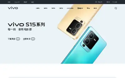vivo.com.cn in 2022