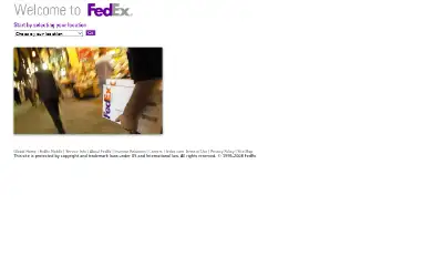 fedex.com in 2008